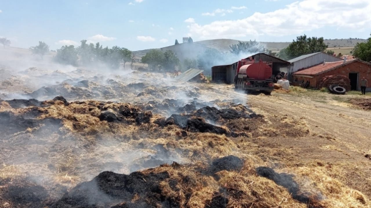 Afyonkarahisar’da çıkan yangında saman balyaları yandı