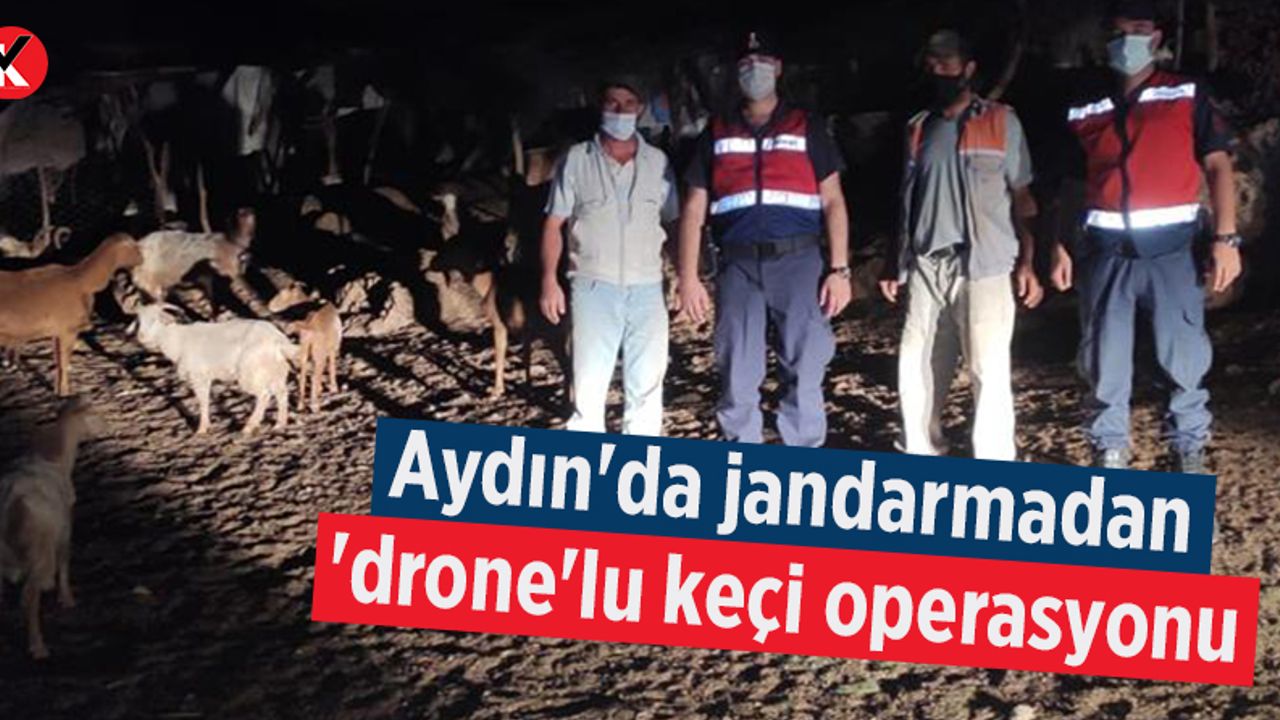Aydın'da jandarmadan 'drone'lu keçi operasyonu