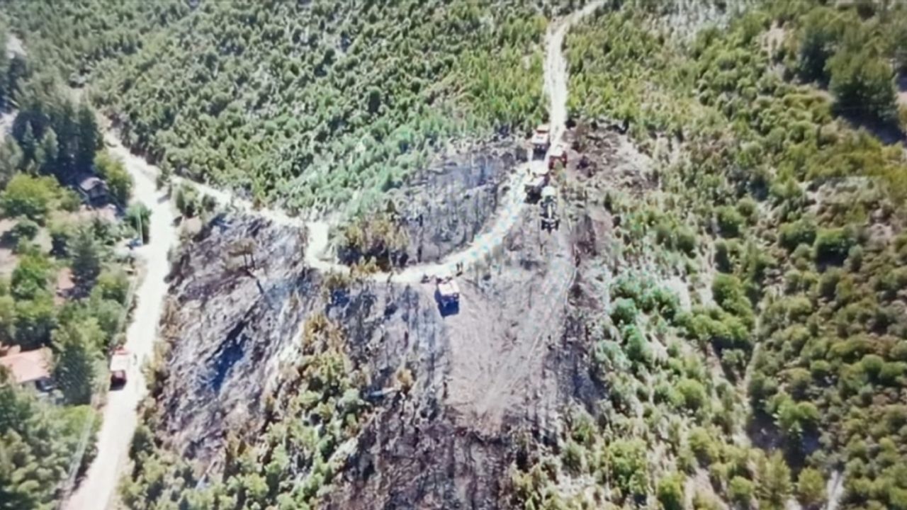 Denizli'de çıkan yangında 15 dekar orman zarar gördü