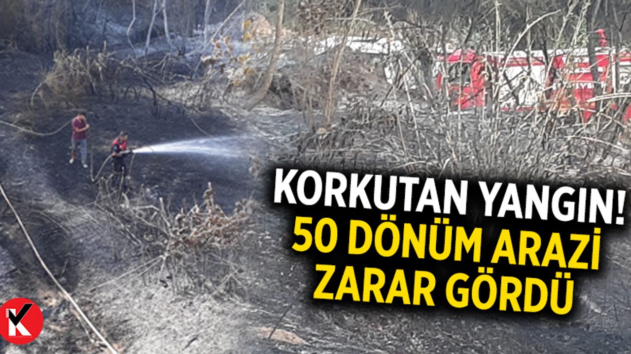 Aydın'da korkutan yangın! 50 dönüm arazi zarar gördü