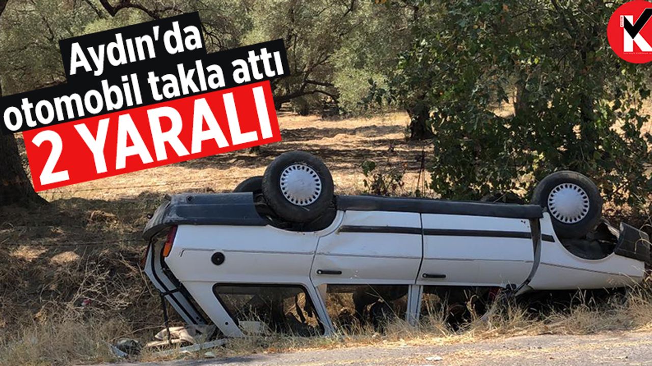 Aydın'da otomobil takla attı: 2 yaralı