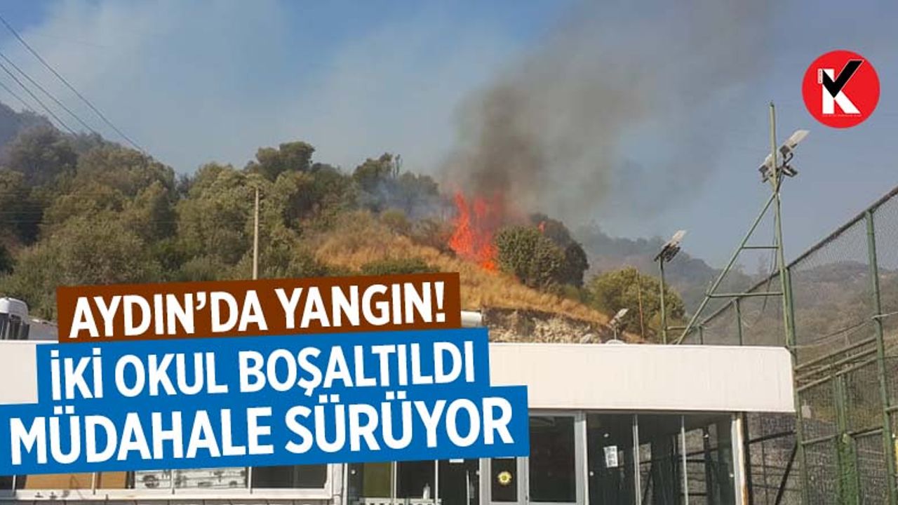Aydın'da yangın! Müdahale sürüyor
