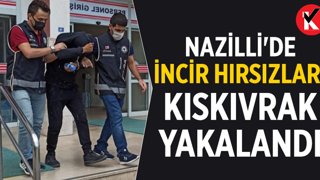 Nazilli'de incir hırsızları kıskıvrak yakalandı