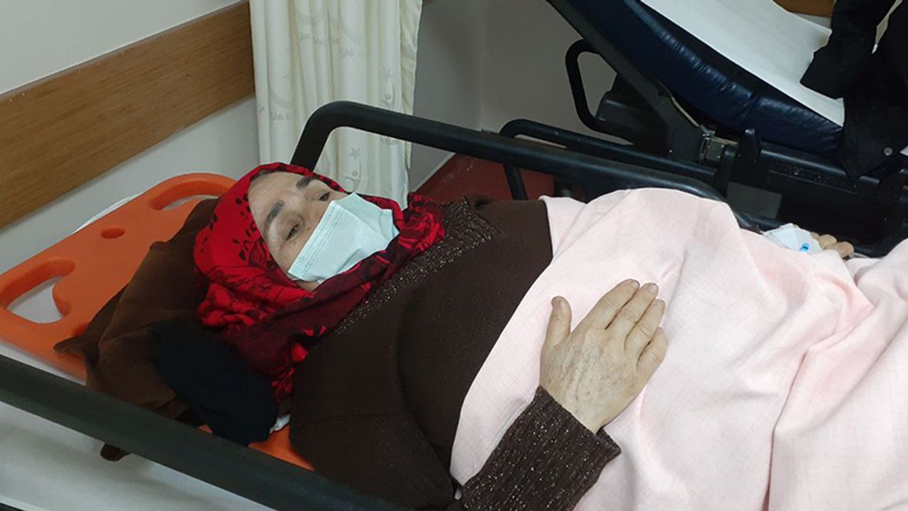 Aydın'da korkunç olay: Yaşlı kadın hastanelik oldu