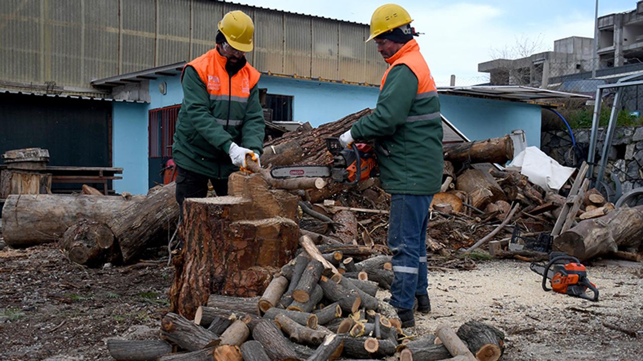 Kuşadası’nda ağaç atıkları ihtiyaç sahipleri için kara kışta yakacağa dönüşüyor