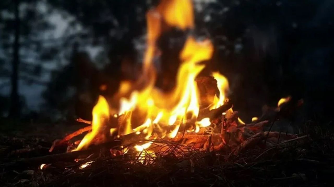 Aydın'da ormanlık alana yakın bölgede ateş yakan kişiye ceza