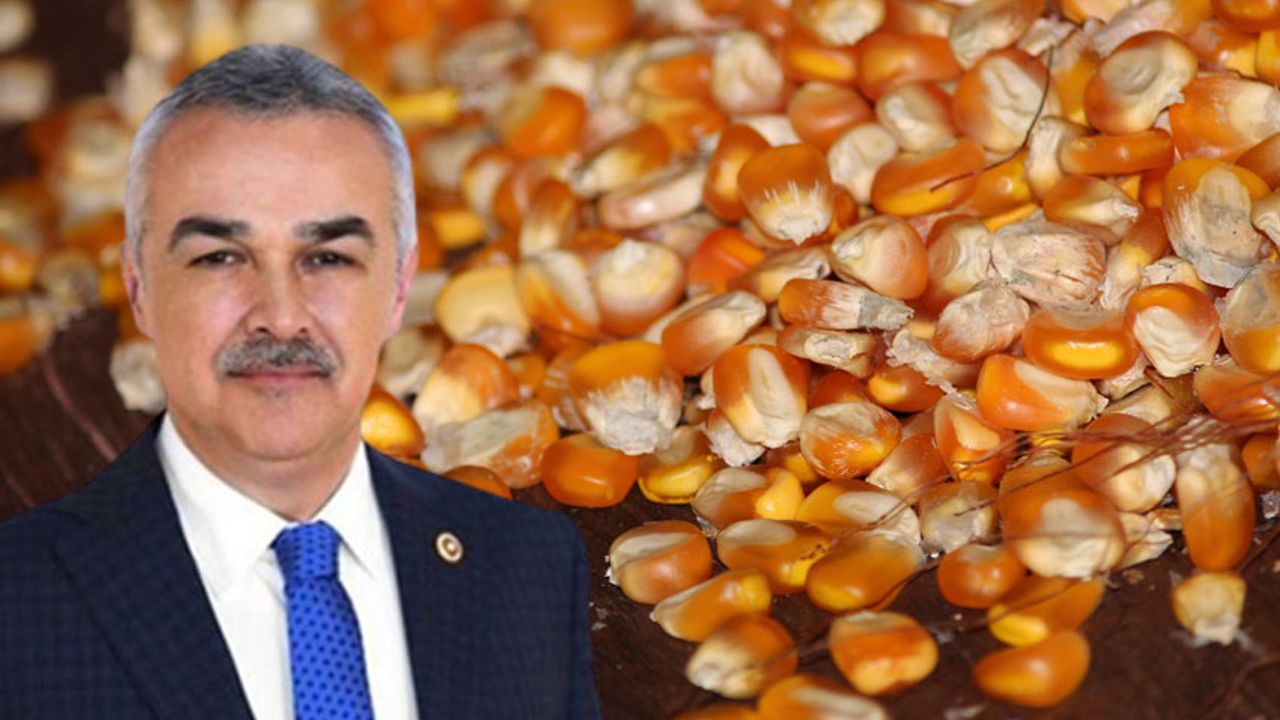 Mustafa Savaş’tan çiftçilere müjde