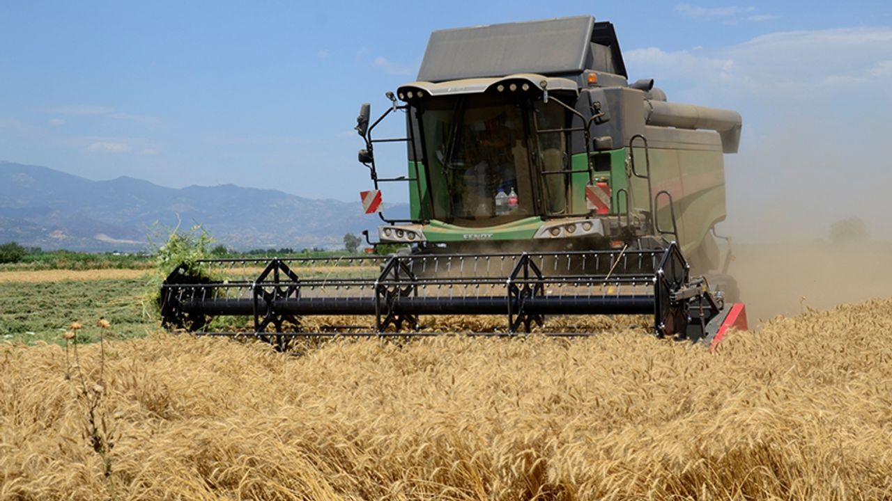 İncirliova'da buğday hasadı başladı