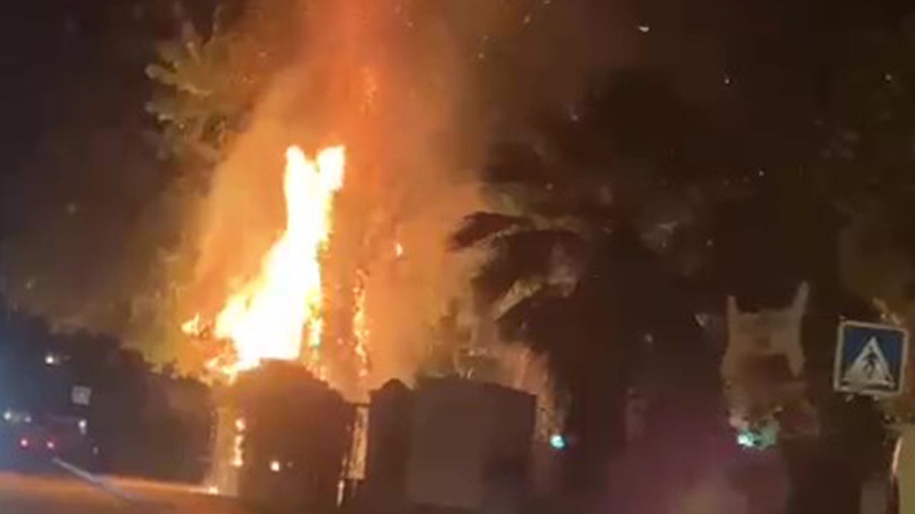 Aydın'da parkta çıkan yangın korkuttu