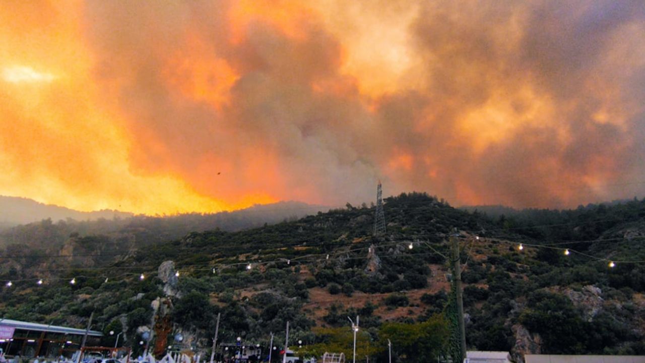 Söke'de orman yangını sürüyor: Tahliyeler başladı