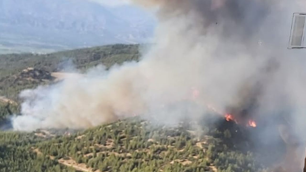 Nazilli'de yangın: Çok sayıda ekip sevk edildi