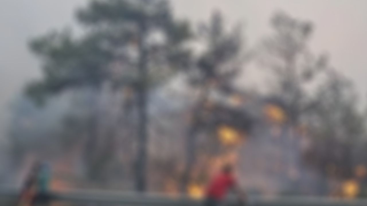 Son Dakika: Aydın-İzmir Otoyolunda yangın