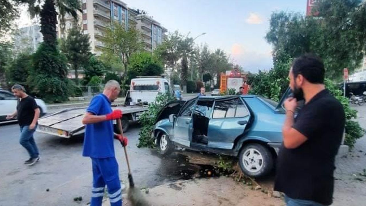 Aydın'da otomobil ağaca çarptı: 2 yaralı