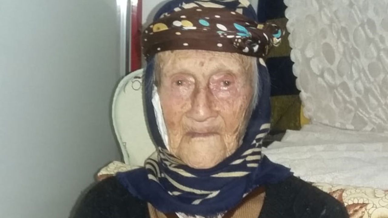 Çine’de 101 yaşındaki asırlık çınar hayatını kaybetti
