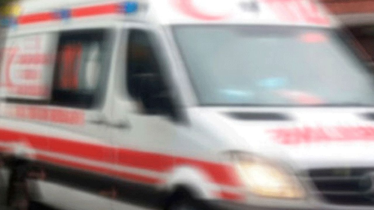 Aydın'da devrilen kamyonetin sürücüsü yaralandı