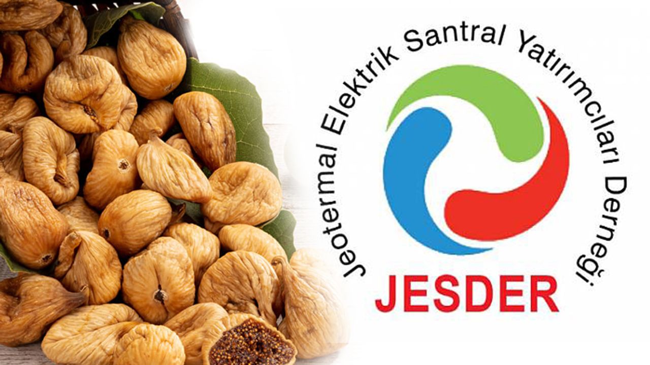 JESDER: Kuru incir ihracatındaki başarı bizi mutlu etti