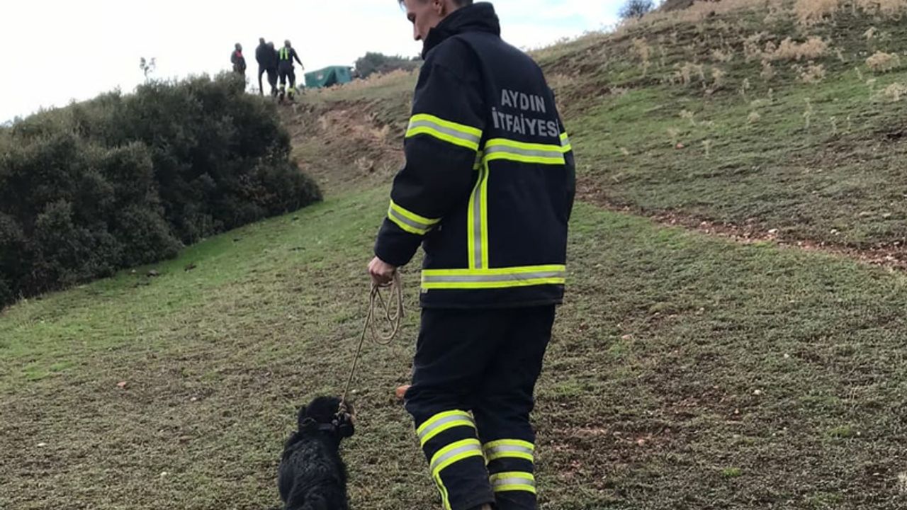 Dağlık alanda mahsur kalan köpeği itfaiye ekipleri kurtardı