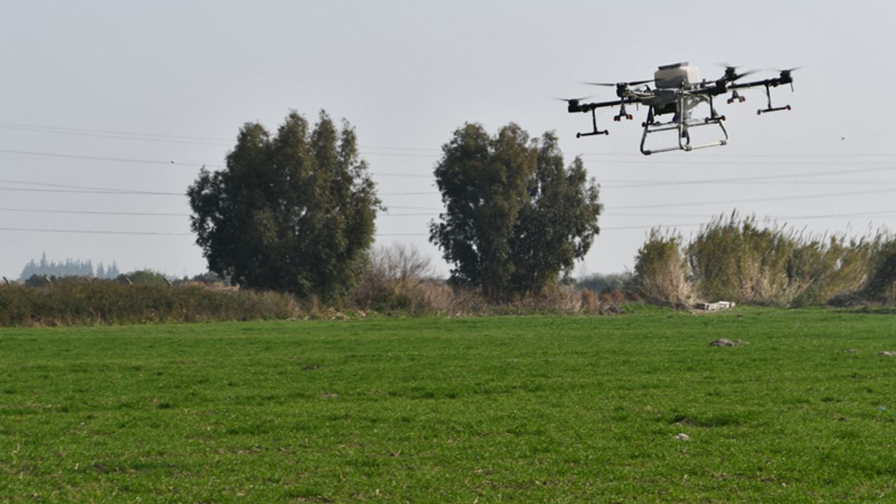 Söke Belediyesi’nin buğday arazisi dronla gübrelendi