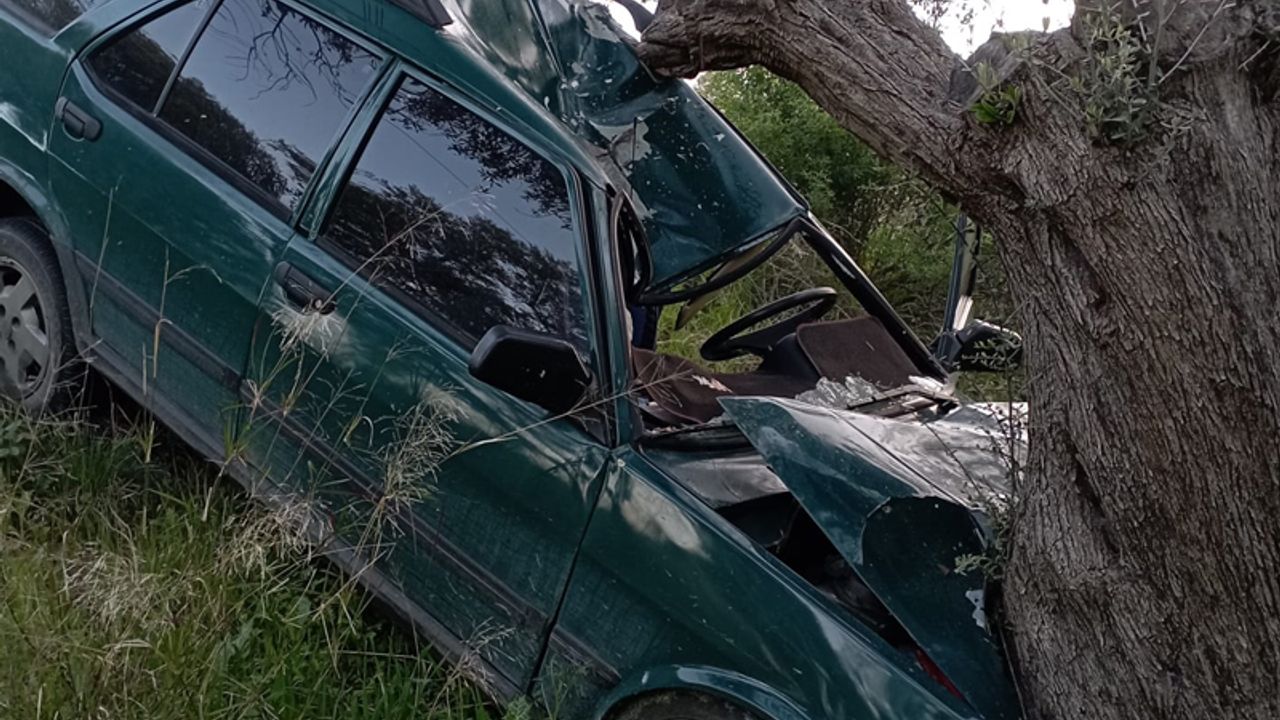 Kuşadası’nda yoldan çıkan otomobil zeytinlik alana düştü