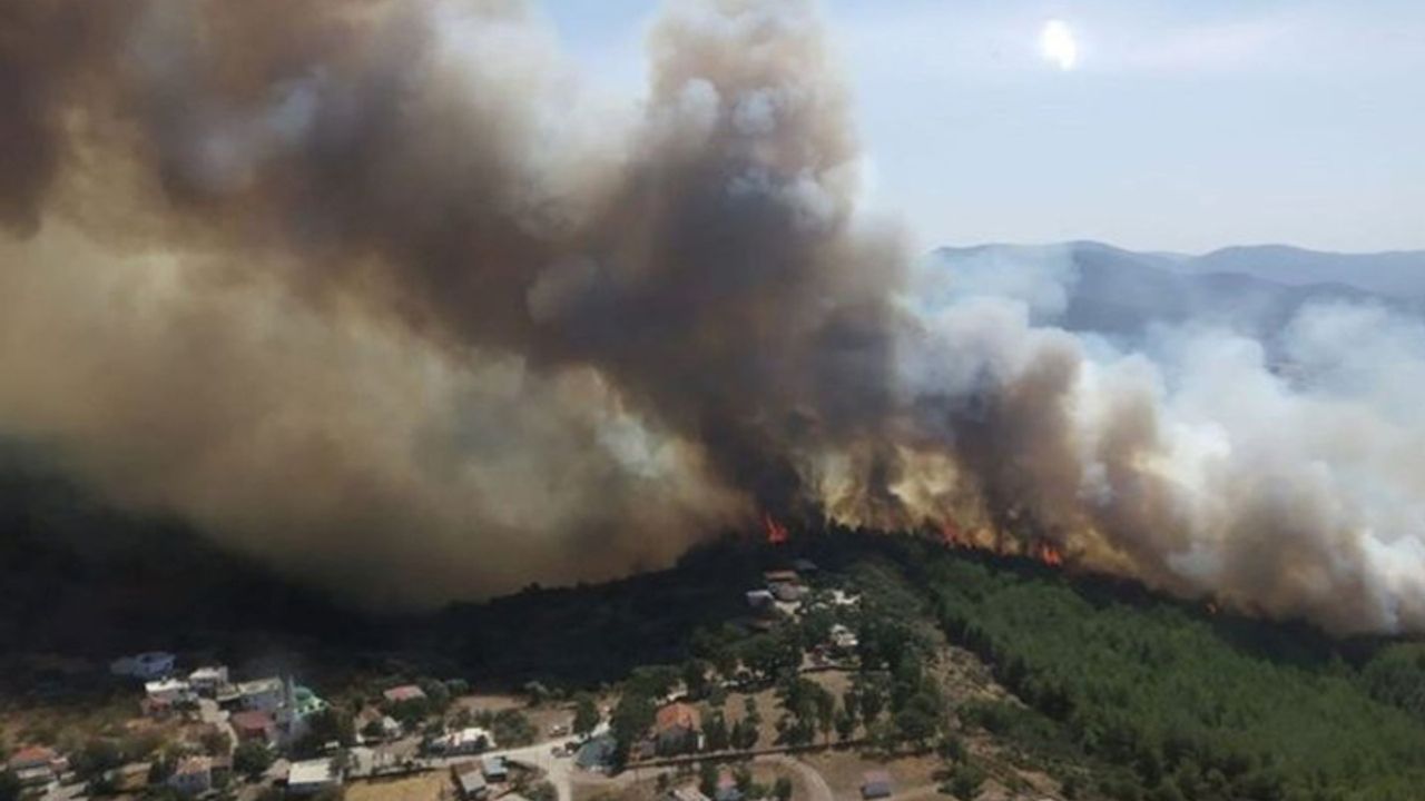 Bodrum’da orman yangını çıkaran kişi Aydın'da yakalandı