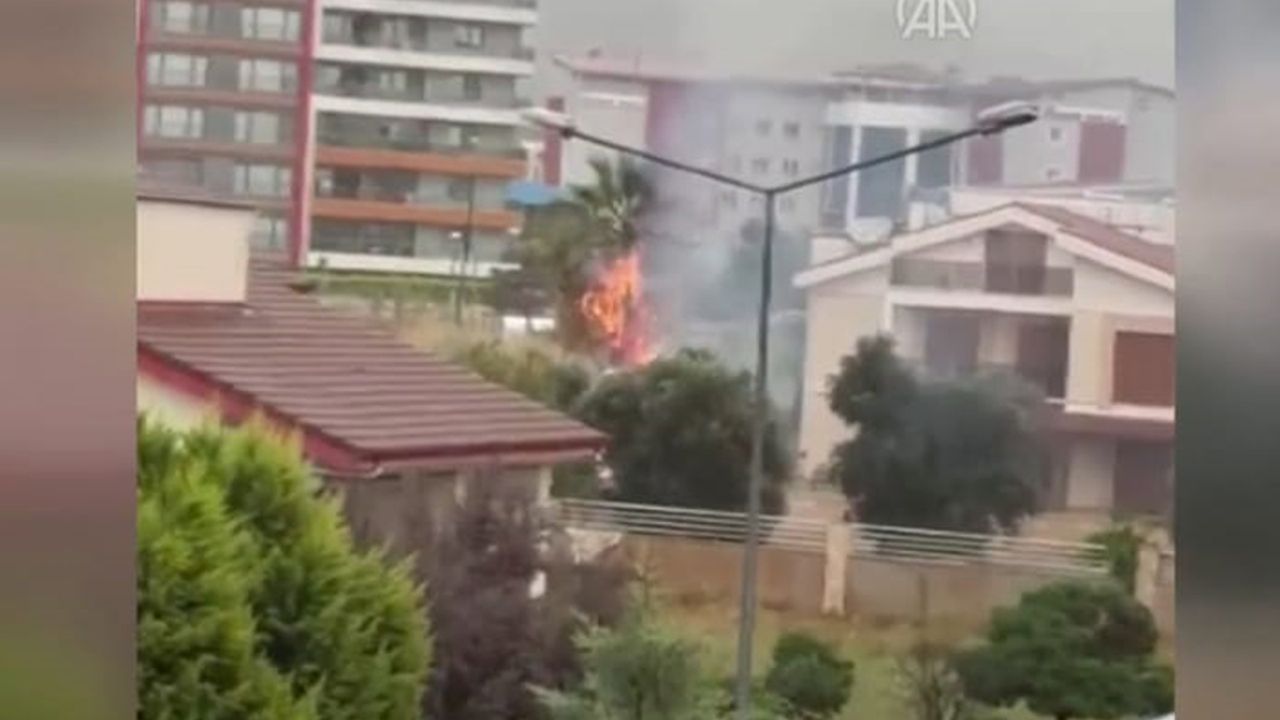 Aydın’da yıldırım düşmesi sonucu yanan ağaç söndürüldü