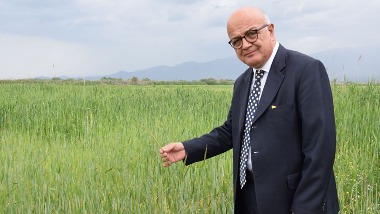 Yenipazar Belediyesi ücretsiz tohum dağıtacak