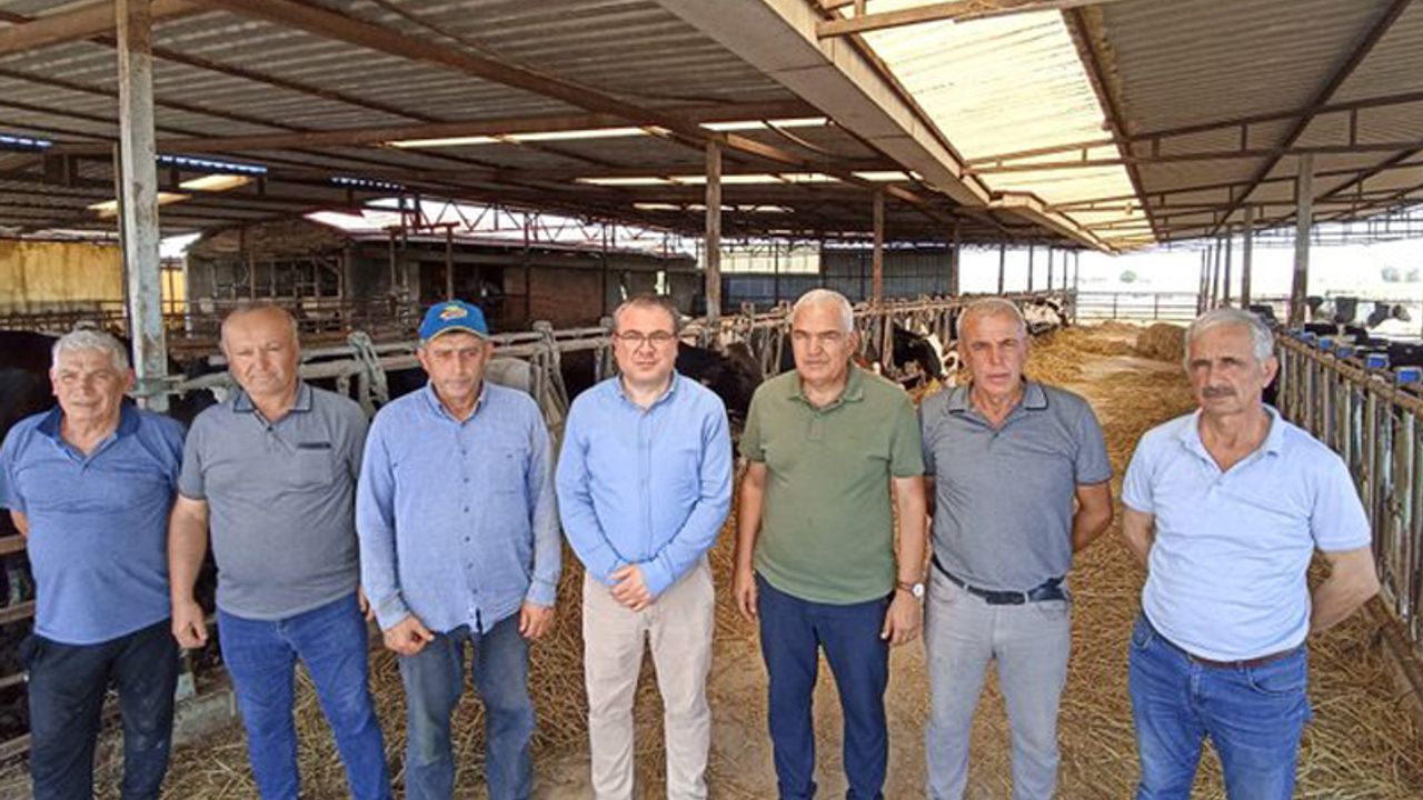 Evrim Karakoz:  Çiğ süt tavsiye fiyatları üretici için yeterli değildir