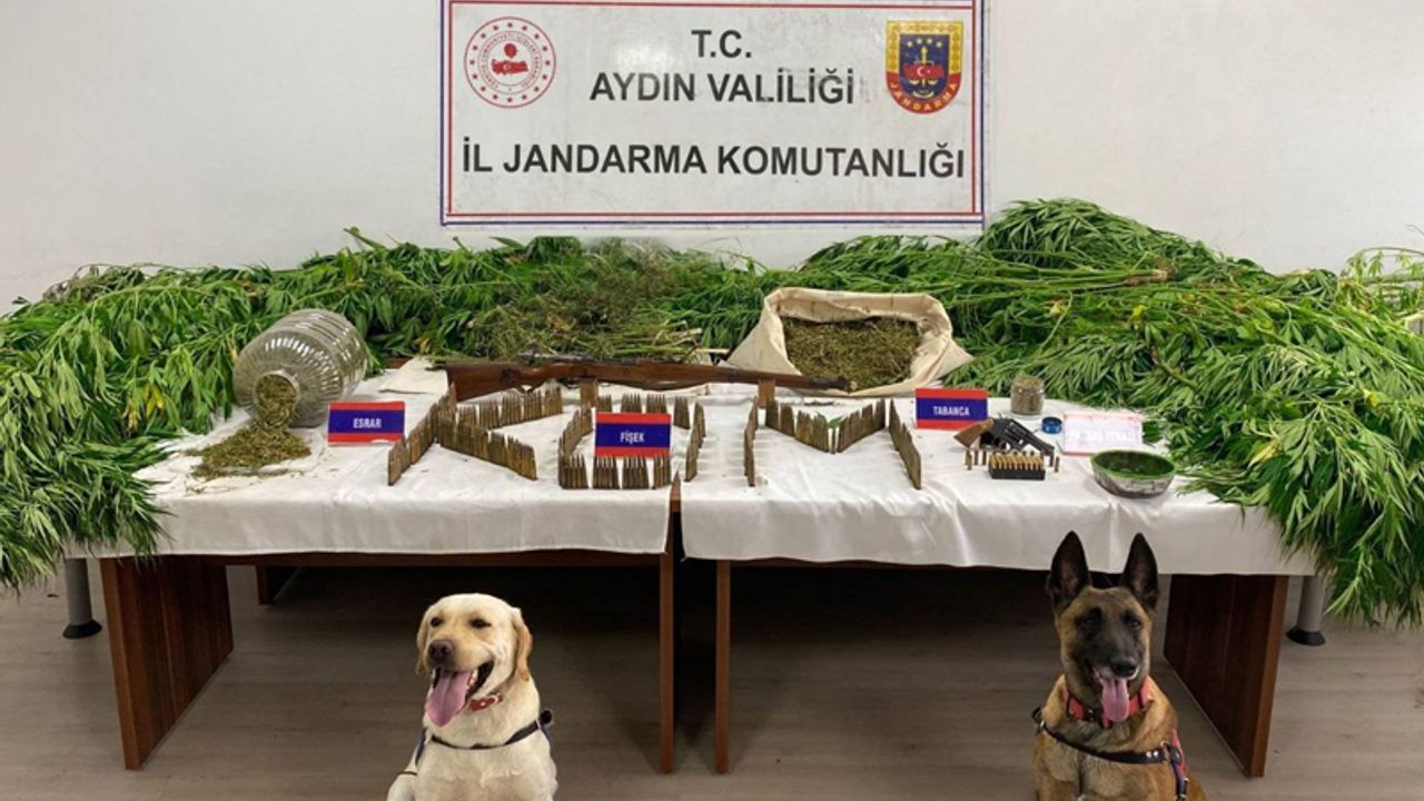 Aydın’daki uyuşturucu operasyonlarında 86 kişi tutuklandı