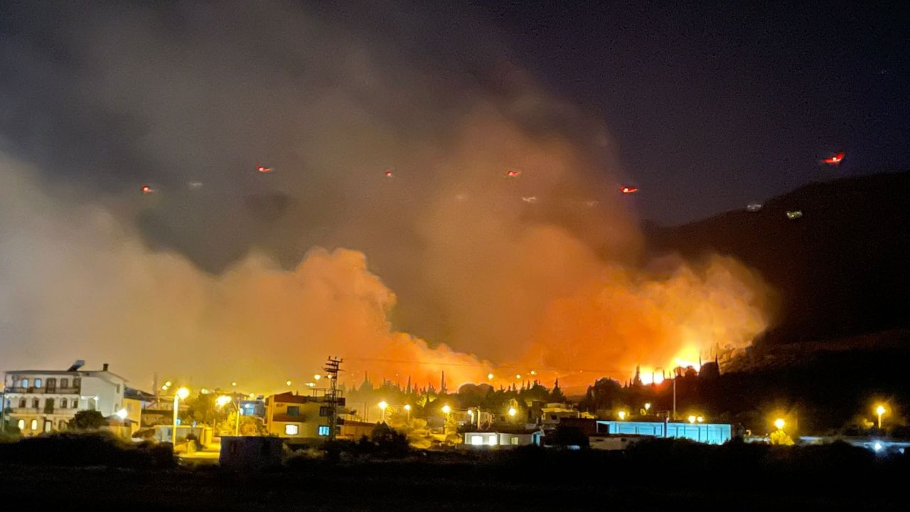 Aydın'da makilik alanda yangın çıktı