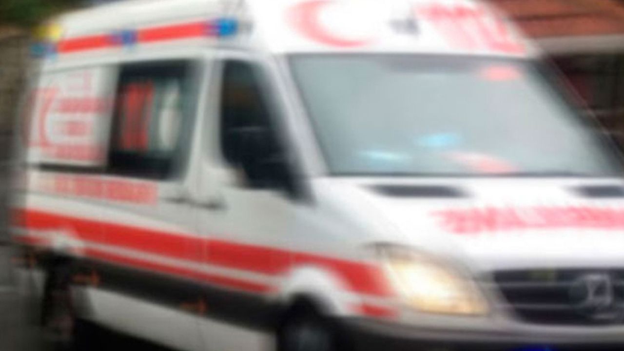 Aydın’da  köpeğin saldırısına uğrayan 5 yaşındaki  çocuk yaralandı