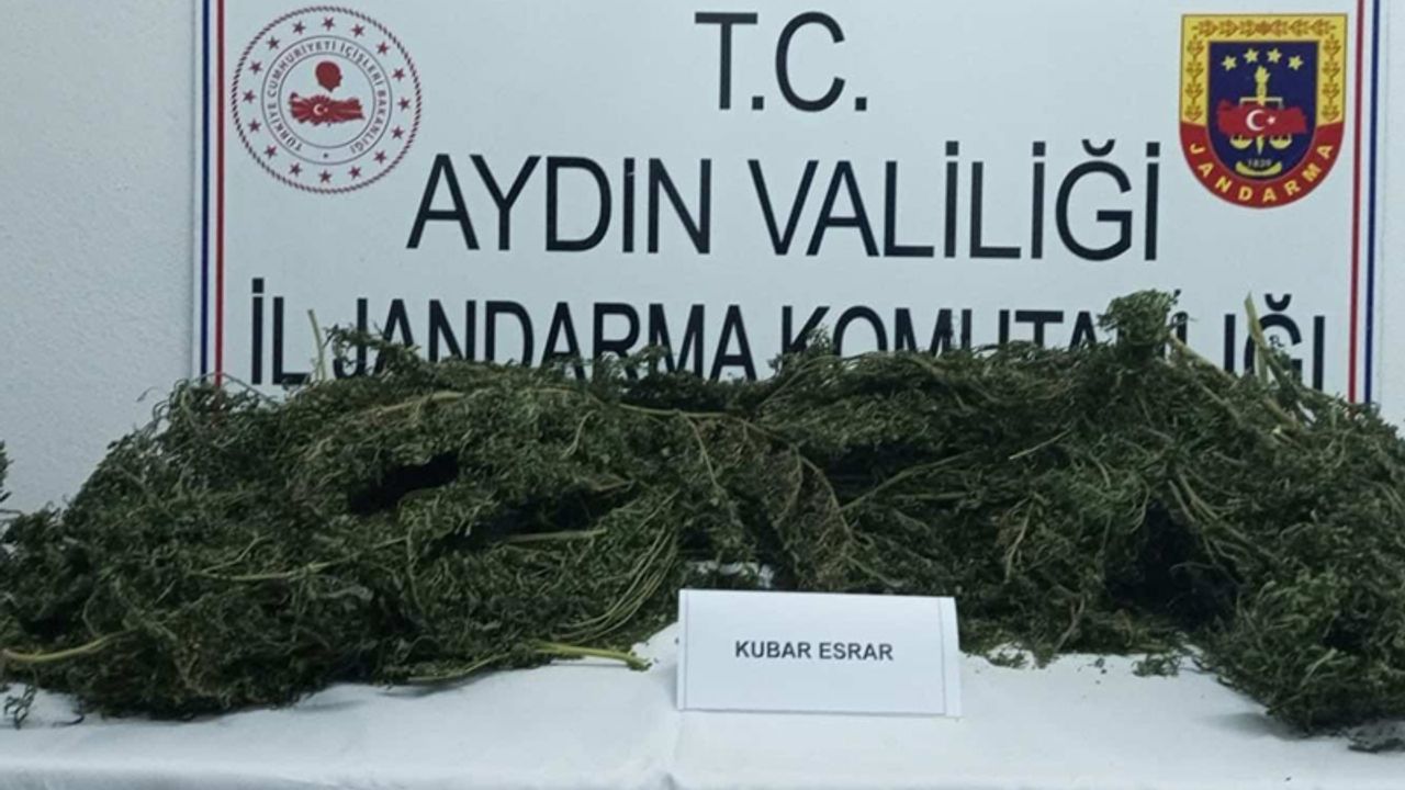 Aydın'da   uyuşturucu ve kaçak tütün operasyonu