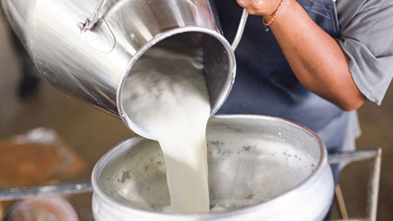Ulusal Süt Konseyi çiğ süt fiyatına zam yaptı
