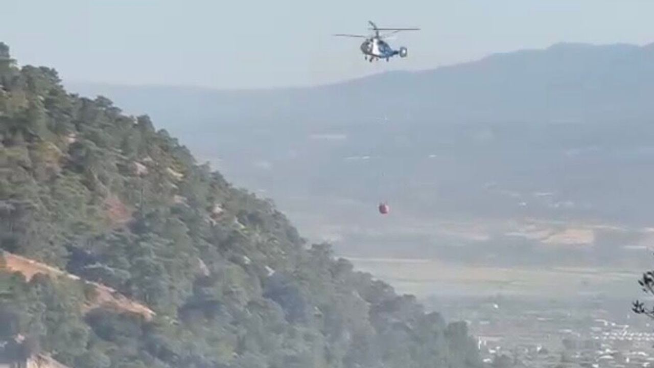 Kuyucak’ta Zeytinlik Alanda Çıkan Yangın Söndürüldü