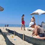 Deniz kaplumbağaları denizle buluşuyor