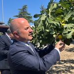 Aydın'a 100 milyonluk yatırım