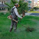 Didim Belediyesi ot biçme ve budama çalışmalarını sürdürüyor