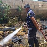 Aydın’da korkutan yangın