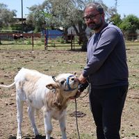 Aydın