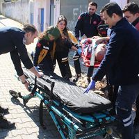 Aydın