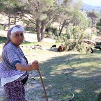 Aydın