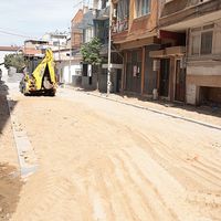 Aydın