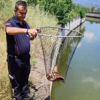 Aydın