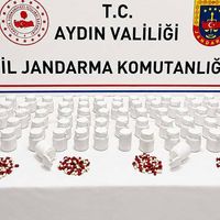 POLİS
