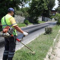 HABER