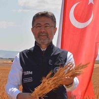 Aydın
