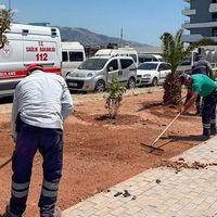 Aydın