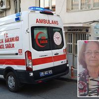 Aydın