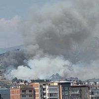Aydın