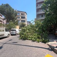 ÇEVRE