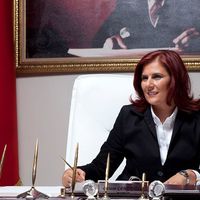 Aydın